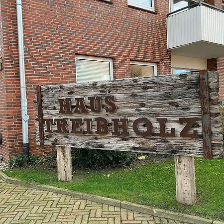 Apartment Haus Treibholz 12 *